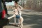 Preview: Kurgo Up & About Dog Lifter Blue/Charcoal Preview: Kurgo Up & About Dog Lifter Blue/Charcoal